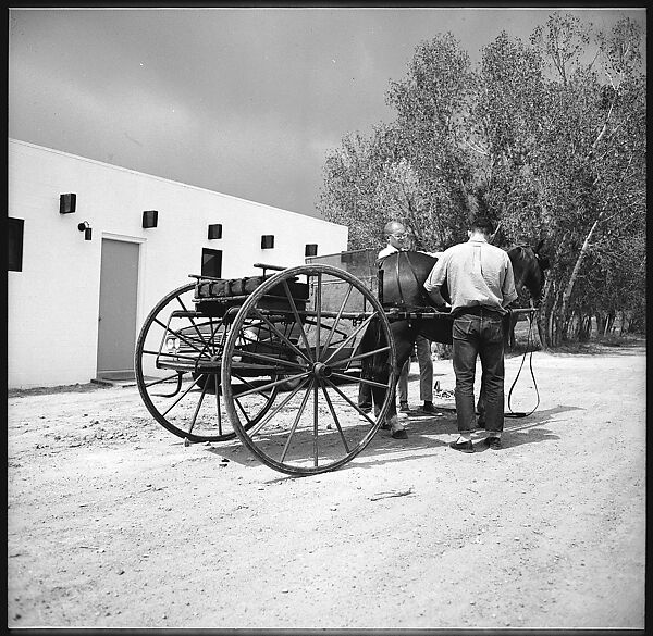 [132 Interior and Exterior Views of the Barnes House, Colorado and Campus of the University of California, Santa Cruz], Walker Evans (American, St. Louis, Missouri 1903–1975 New Haven, Connecticut), Film negative