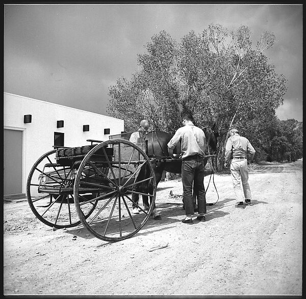 [132 Interior and Exterior Views of the Barnes House, Colorado and Campus of the University of California, Santa Cruz], Walker Evans (American, St. Louis, Missouri 1903–1975 New Haven, Connecticut), Film negative