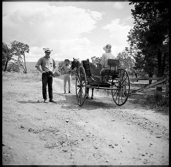 [132 Interior and Exterior Views of the Barnes House, Colorado and Campus of the University of California, Santa Cruz], Walker Evans (American, St. Louis, Missouri 1903–1975 New Haven, Connecticut), Film negative