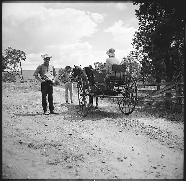 [132 Interior and Exterior Views of the Barnes House, Colorado and Campus of the University of California, Santa Cruz], Walker Evans (American, St. Louis, Missouri 1903–1975 New Haven, Connecticut), Film negative