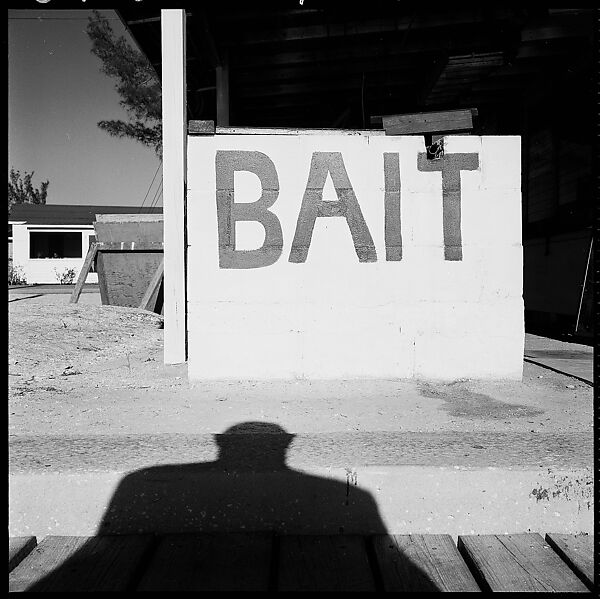 [31 Views of Seaside, Architecture, and Signs, Anna Maria, Florida], Walker Evans (American, St. Louis, Missouri 1903–1975 New Haven, Connecticut), Film negative