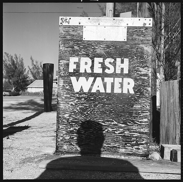 [31 Views of Seaside, Architecture, and Signs, Anna Maria, Florida], Walker Evans (American, St. Louis, Missouri 1903–1975 New Haven, Connecticut), Film negative