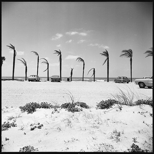 [31 Views of Seaside, Architecture, and Signs, Anna Maria, Florida], Walker Evans (American, St. Louis, Missouri 1903–1975 New Haven, Connecticut), Film negative