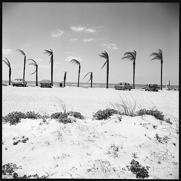 [31 Views of Seaside, Architecture, and Signs, Anna Maria, Florida], Walker Evans (American, St. Louis, Missouri 1903–1975 New Haven, Connecticut), Film negative