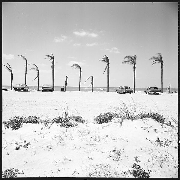 [31 Views of Seaside, Architecture, and Signs, Anna Maria, Florida], Walker Evans (American, St. Louis, Missouri 1903–1975 New Haven, Connecticut), Film negative