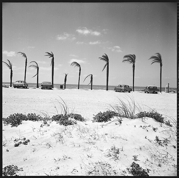 [31 Views of Seaside, Architecture, and Signs, Anna Maria, Florida], Walker Evans (American, St. Louis, Missouri 1903–1975 New Haven, Connecticut), Film negative