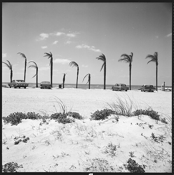 [31 Views of Seaside, Architecture, and Signs, Anna Maria, Florida], Walker Evans (American, St. Louis, Missouri 1903–1975 New Haven, Connecticut), Film negative