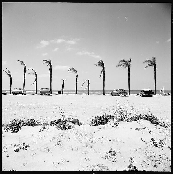 [31 Views of Seaside, Architecture, and Signs, Anna Maria, Florida], Walker Evans (American, St. Louis, Missouri 1903–1975 New Haven, Connecticut), Film negative