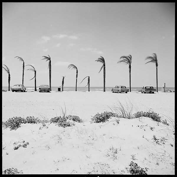 [31 Views of Seaside, Architecture, and Signs, Anna Maria, Florida], Walker Evans (American, St. Louis, Missouri 1903–1975 New Haven, Connecticut), Film negative