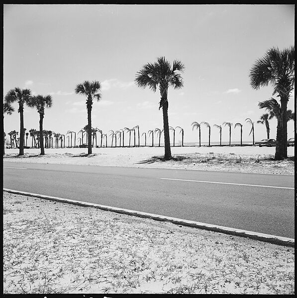[31 Views of Seaside, Architecture, and Signs, Anna Maria, Florida], Walker Evans (American, St. Louis, Missouri 1903–1975 New Haven, Connecticut), Film negative