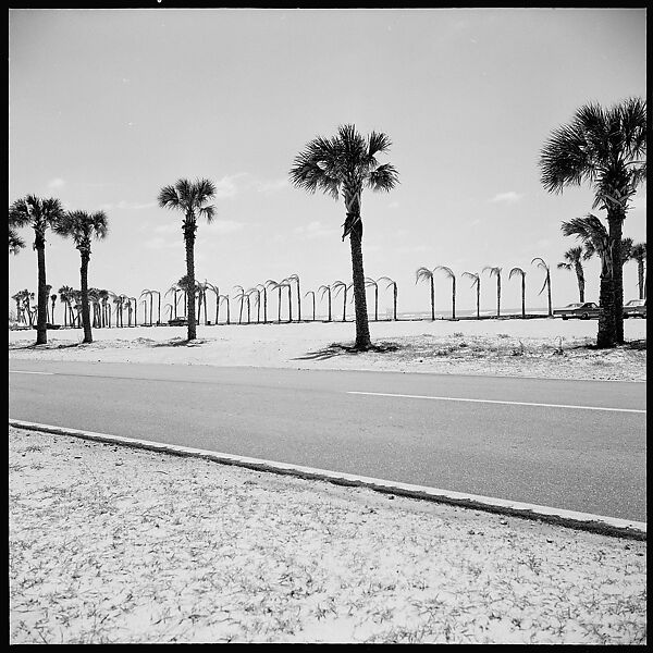 [31 Views of Seaside, Architecture, and Signs, Anna Maria, Florida], Walker Evans (American, St. Louis, Missouri 1903–1975 New Haven, Connecticut), Film negative