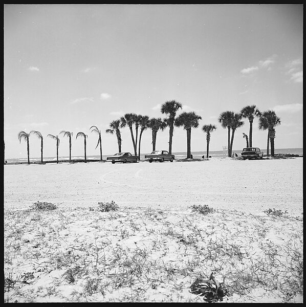 [31 Views of Seaside, Architecture, and Signs, Anna Maria, Florida], Walker Evans (American, St. Louis, Missouri 1903–1975 New Haven, Connecticut), Film negative