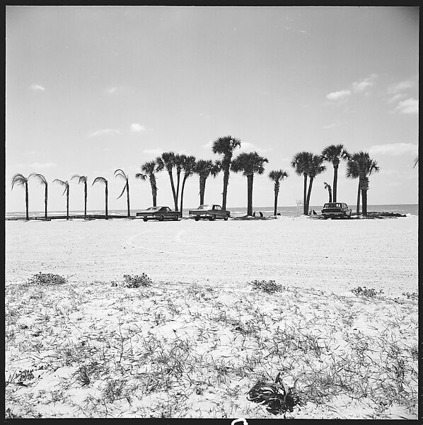 [31 Views of Seaside, Architecture, and Signs, Anna Maria, Florida], Walker Evans (American, St. Louis, Missouri 1903–1975 New Haven, Connecticut), Film negative