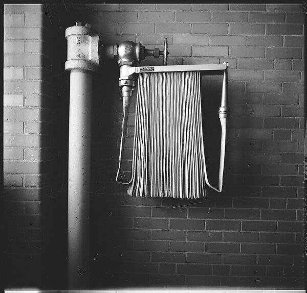 [3 Views of Fire Hose, Old Lyme, Connecticut], Walker Evans (American, St. Louis, Missouri 1903–1975 New Haven, Connecticut), Film negative 