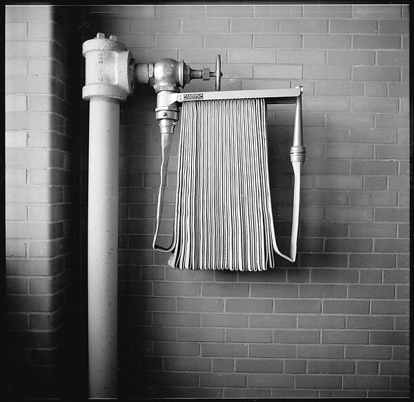 [3 Views of Fire Hose, Old Lyme, Connecticut], Walker Evans (American, St. Louis, Missouri 1903–1975 New Haven, Connecticut), Film negative