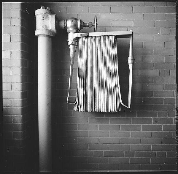 [3 Views of Fire Hose, Old Lyme, Connecticut], Walker Evans (American, St. Louis, Missouri 1903–1975 New Haven, Connecticut), Film negative