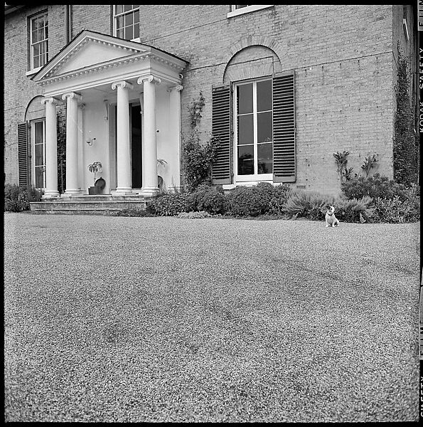 [234 Scenes from Trip to England: Redcliffe Square, London; Portraits of Caroline Blackwood; Country House of Robert Lowell and Caroline Blackwood, Kent; Portraits of Lady Xandra Gowrie; Brighton Pier; Framework Houses], Walker Evans (American, St. Louis, Missouri 1903–1975 New Haven, Connecticut), Film negative