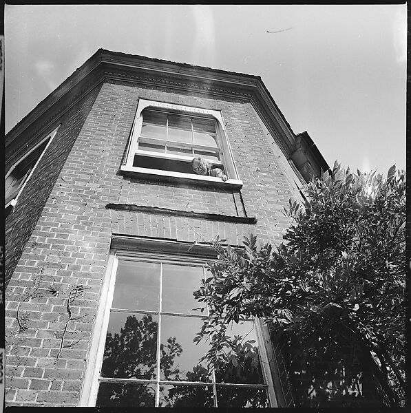 [234 Scenes from Trip to England: Redcliffe Square, London; Portraits of Caroline Blackwood; Country House of Robert Lowell and Caroline Blackwood, Kent; Portraits of Lady Xandra Gowrie; Brighton Pier; Framework Houses], Walker Evans (American, St. Louis, Missouri 1903–1975 New Haven, Connecticut), Film negative