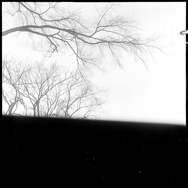 [12 Views of Walker Evans's Studio and Nudes of Unidentified Woman, Old Lyme, Connecticut], Walker Evans (American, St. Louis, Missouri 1903–1975 New Haven, Connecticut), Film negative