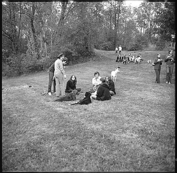 [24 Views of Yale School of Art Barbecue], Walker Evans (American, St. Louis, Missouri 1903–1975 New Haven, Connecticut), Film negative