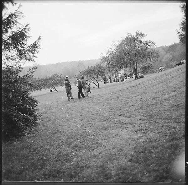 [24 Views of Yale School of Art Barbecue], Walker Evans (American, St. Louis, Missouri 1903–1975 New Haven, Connecticut), Film negative