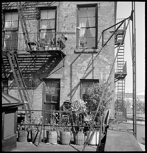 [24 Street Scenes at York Avenue and 92nd Street, New York City], Walker Evans (American, St. Louis, Missouri 1903–1975 New Haven, Connecticut), Film negative