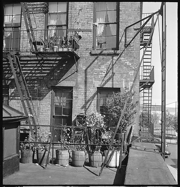 [24 Street Scenes at York Avenue and 92nd Street, New York City], Walker Evans (American, St. Louis, Missouri 1903–1975 New Haven, Connecticut), Film negative