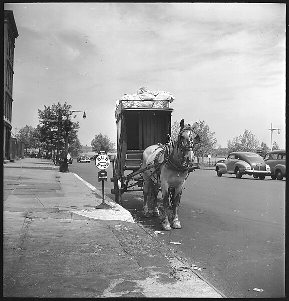 [24 Street Scenes at York Avenue and 92nd Street, New York City], Walker Evans (American, St. Louis, Missouri 1903–1975 New Haven, Connecticut), Film negative