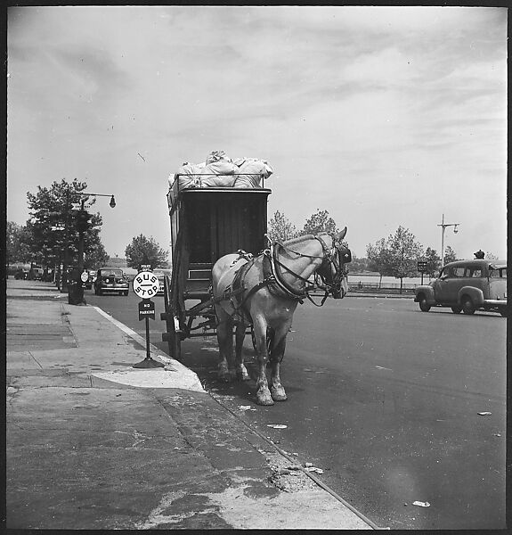 [24 Street Scenes at York Avenue and 92nd Street, New York City], Walker Evans (American, St. Louis, Missouri 1903–1975 New Haven, Connecticut), Film negative