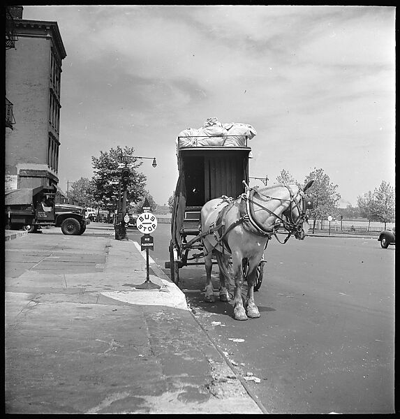 [24 Street Scenes at York Avenue and 92nd Street, New York City], Walker Evans (American, St. Louis, Missouri 1903–1975 New Haven, Connecticut), Film negative