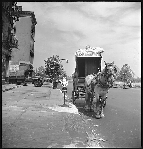 [24 Street Scenes at York Avenue and 92nd Street, New York City], Walker Evans (American, St. Louis, Missouri 1903–1975 New Haven, Connecticut), Film negative