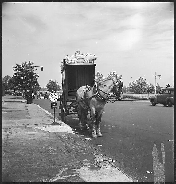 [24 Street Scenes at York Avenue and 92nd Street, New York City], Walker Evans (American, St. Louis, Missouri 1903–1975 New Haven, Connecticut), Film negative
