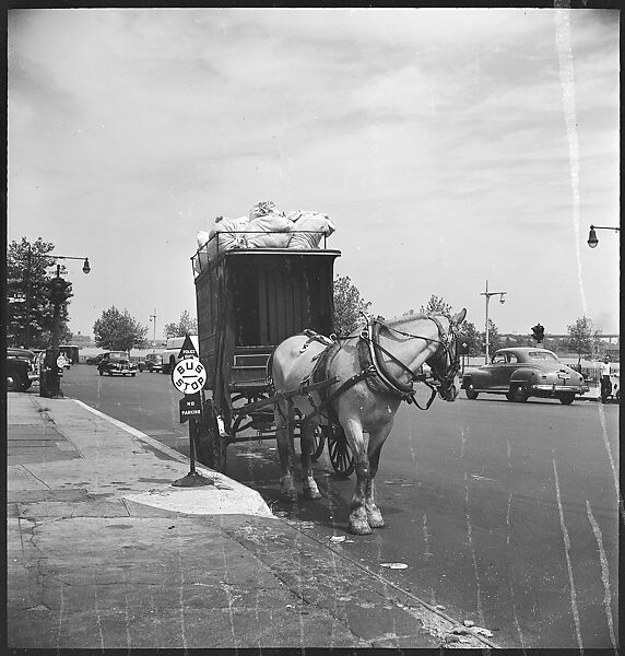 [24 Street Scenes at York Avenue and 92nd Street, New York City], Walker Evans (American, St. Louis, Missouri 1903–1975 New Haven, Connecticut), Film negative