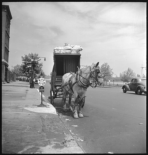 [24 Street Scenes at York Avenue and 92nd Street, New York City], Walker Evans (American, St. Louis, Missouri 1903–1975 New Haven, Connecticut), Film negative
