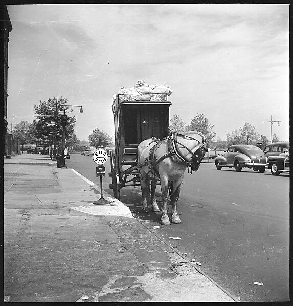 [24 Street Scenes at York Avenue and 92nd Street, New York City], Walker Evans (American, St. Louis, Missouri 1903–1975 New Haven, Connecticut), Film negative