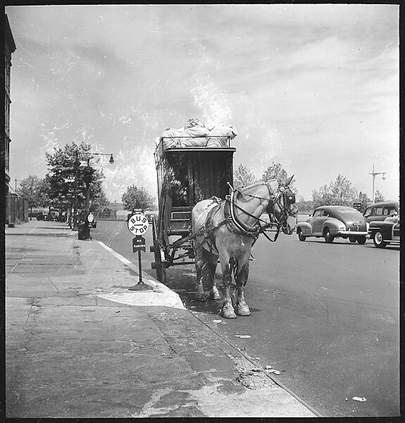 [24 Street Scenes at York Avenue and 92nd Street, New York City], Walker Evans (American, St. Louis, Missouri 1903–1975 New Haven, Connecticut), Film negative