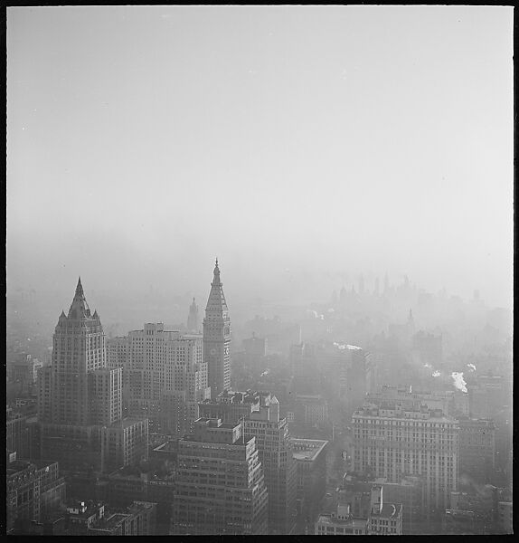[12 Views of New York City Skyline and Painting by Walker Evans], Walker Evans (American, St. Louis, Missouri 1903–1975 New Haven, Connecticut), Film negative