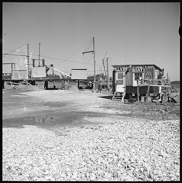 [16 Views of Fishing Shack, Biloxi, Mississippi], Walker Evans (American, St. Louis, Missouri 1903–1975 New Haven, Connecticut), Film negative