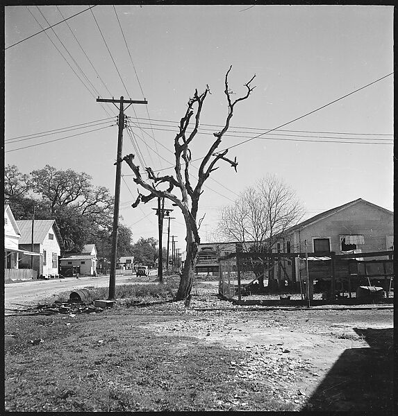 [16 Views of Fishing Shack, Biloxi, Mississippi], Walker Evans (American, St. Louis, Missouri 1903–1975 New Haven, Connecticut), Film negative
