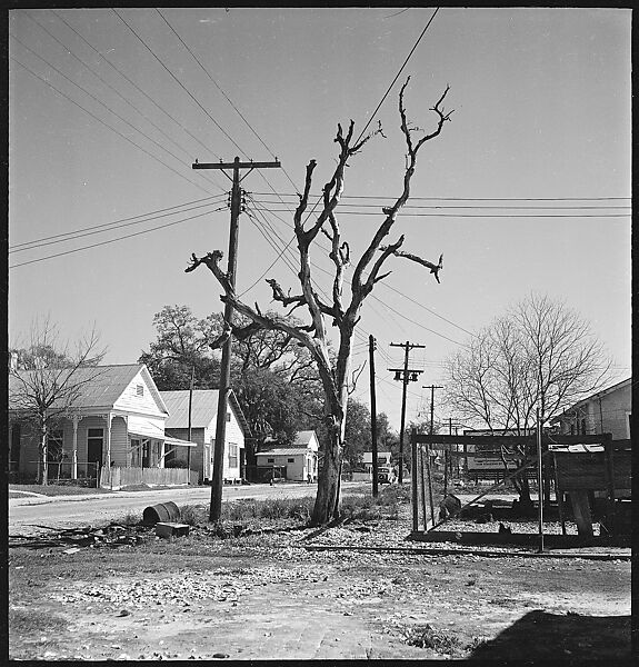 [16 Views of Fishing Shack, Biloxi, Mississippi], Walker Evans (American, St. Louis, Missouri 1903–1975 New Haven, Connecticut), Film negative