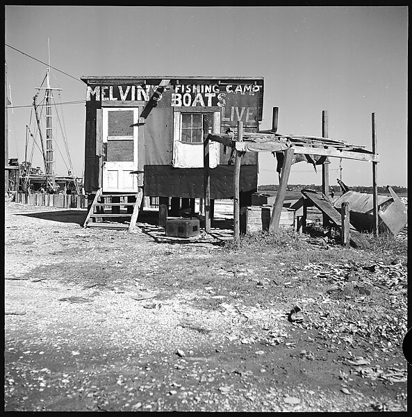 [16 Views of Fishing Shack, Biloxi, Mississippi], Walker Evans (American, St. Louis, Missouri 1903–1975 New Haven, Connecticut), Film negative