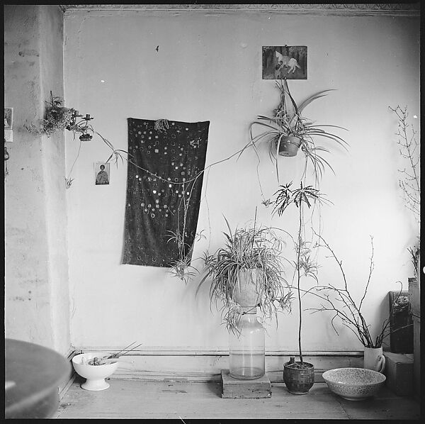 [20 Interior Views of Mary Frank's Bedroom, New York City], Walker Evans (American, St. Louis, Missouri 1903–1975 New Haven, Connecticut), Film negative