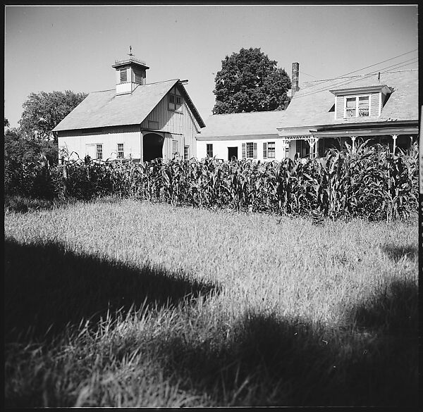 [24 Miscellaneous Architectural Views], Walker Evans (American, St. Louis, Missouri 1903–1975 New Haven, Connecticut), Film negative