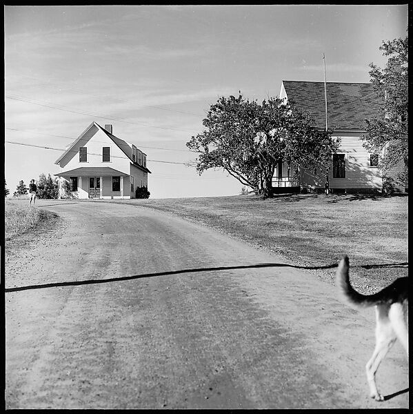 [24 Views of House and Porch, and Portraits of Isabelle Evans], Walker Evans (American, St. Louis, Missouri 1903–1975 New Haven, Connecticut), Film negative