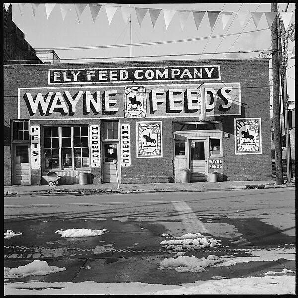 [12 Views of Greenwood Cemetery Monuments and Roadside Architecture in Clarksville, Tennessee], Walker Evans (American, St. Louis, Missouri 1903–1975 New Haven, Connecticut), Film negative