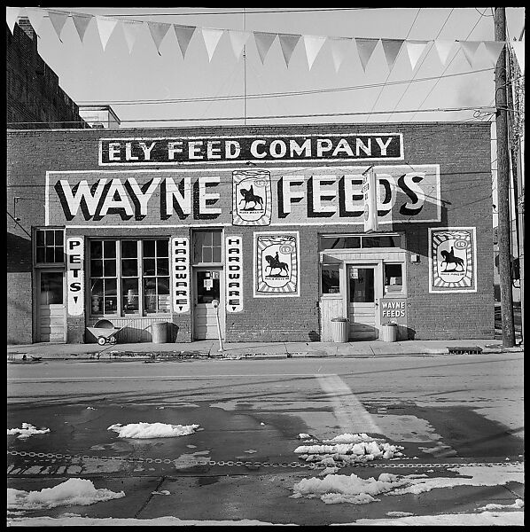 [12 Views of Greenwood Cemetery Monuments and Roadside Architecture in Clarksville, Tennessee], Walker Evans (American, St. Louis, Missouri 1903–1975 New Haven, Connecticut), Film negative