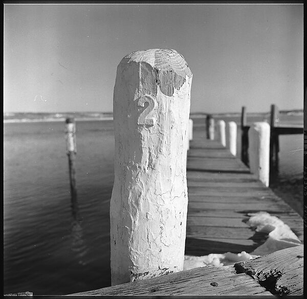 [12 Views of Barn and Dock Pilings], Walker Evans (American, St. Louis, Missouri 1903–1975 New Haven, Connecticut), Film negative
