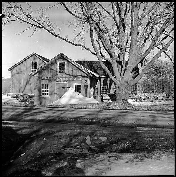 [23 Exterior Views of Farm Building and Portraits of Unidentified Woman], Walker Evans (American, St. Louis, Missouri 1903–1975 New Haven, Connecticut), Film negative
