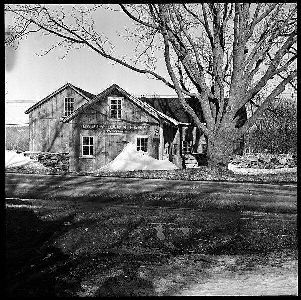 [23 Exterior Views of Farm Building and Portraits of Unidentified Woman], Walker Evans (American, St. Louis, Missouri 1903–1975 New Haven, Connecticut), Film negative