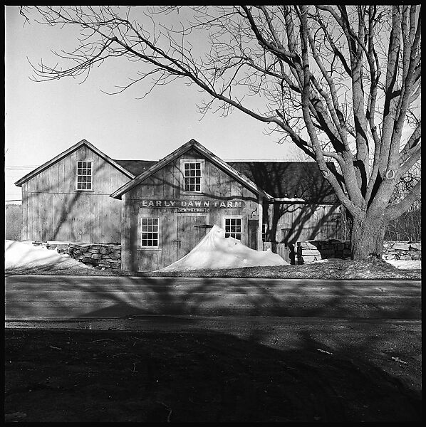 [23 Exterior Views of Farm Building and Portraits of Unidentified Woman], Walker Evans (American, St. Louis, Missouri 1903–1975 New Haven, Connecticut), Film negative